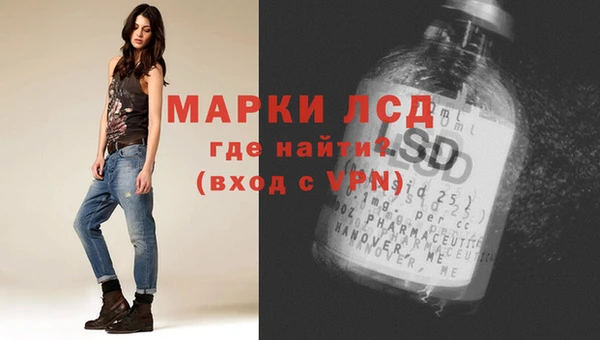 хмурый Арсеньев