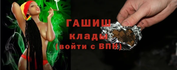 хмурый Арсеньев