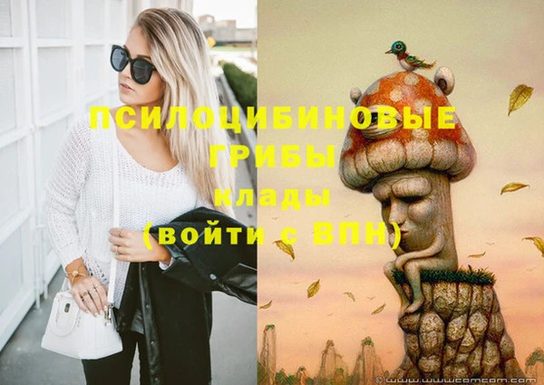 меф Нефтегорск