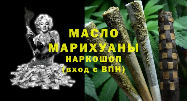 хмурый Арсеньев