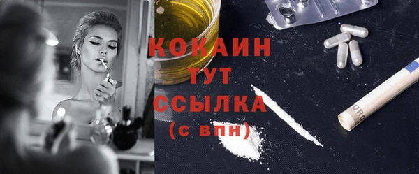 хмурый Арсеньев