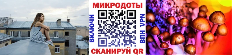 Псилоцибиновые грибы Psilocybine cubensis  Черняховск 